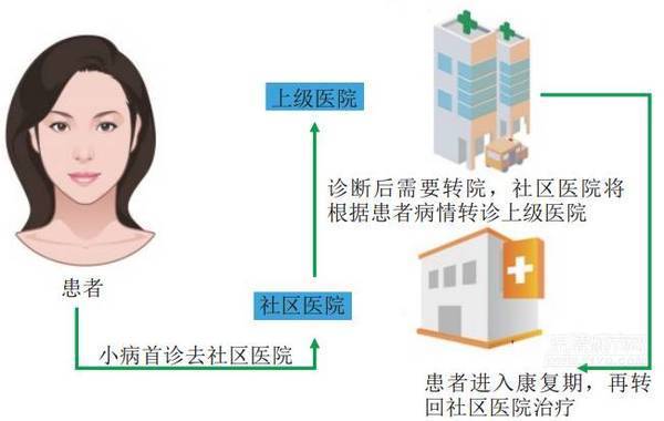 双向转诊 双向转诊