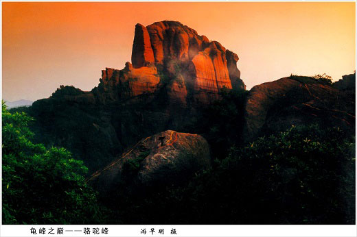 骆驼峰 骆驼峰