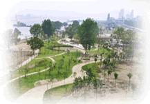 新江滩公园 新江滩公园