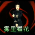 雾里看花(那英演唱歌曲) 雾里看花(那英演唱歌曲)