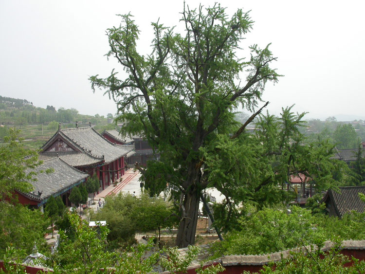 枣庄市中区 枣庄市中区