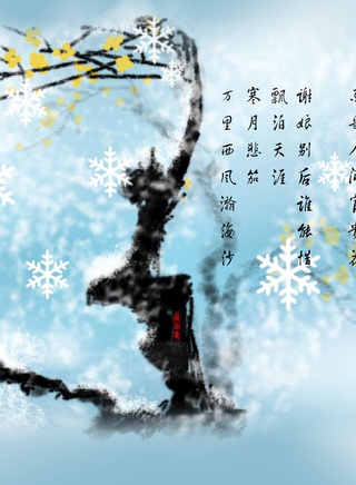 张佳楠