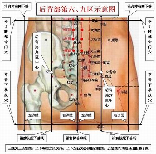 环跳穴 环跳穴