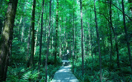 巴渝十二景 巴渝十二景