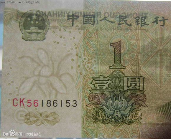 大叶兰冠号 大叶兰冠号