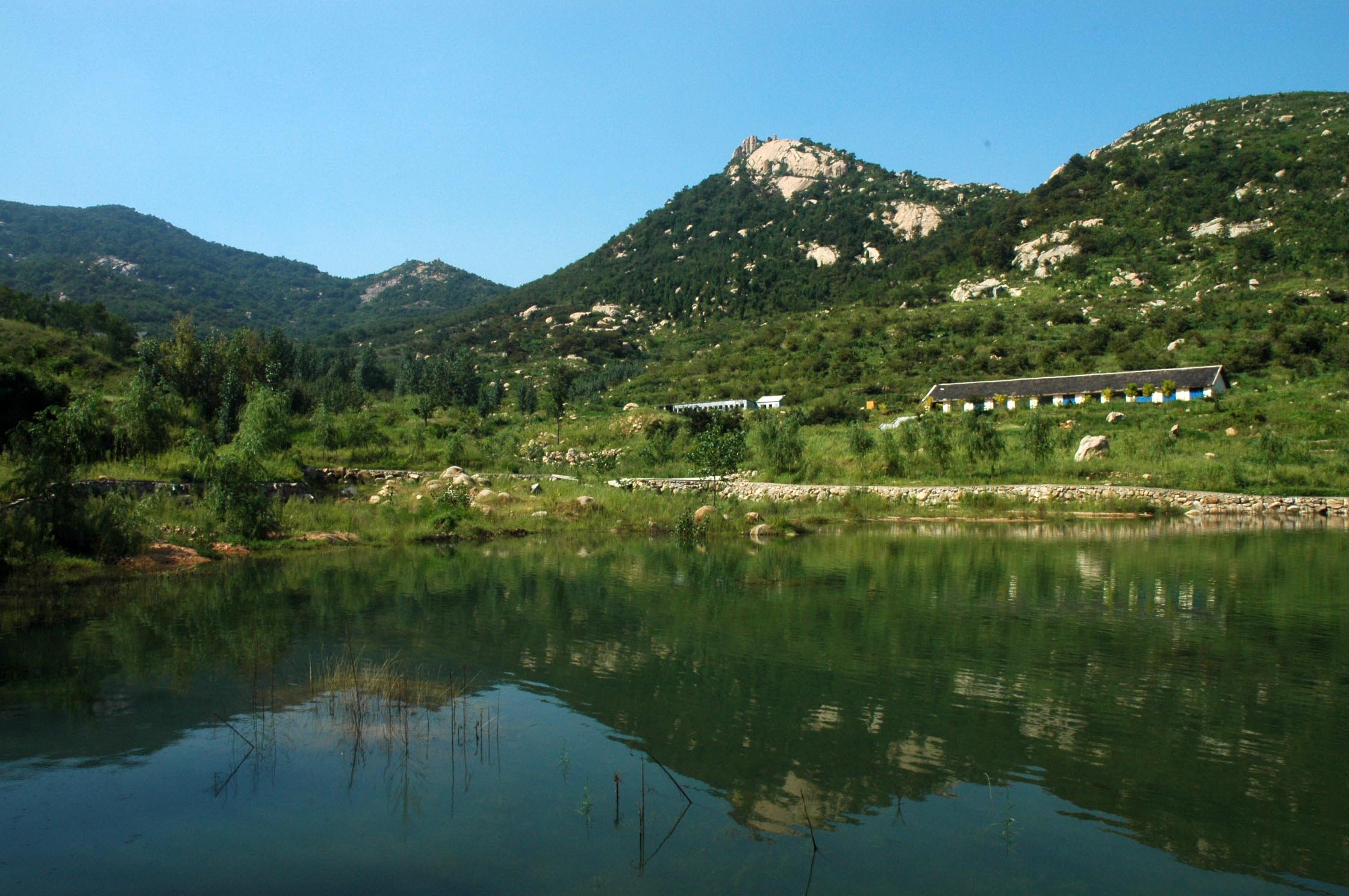 莲青山 莲青山