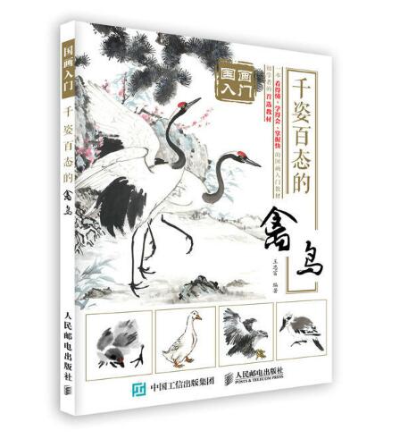 国画入门:千姿百态的禽鸟 国画入门:千姿百态的禽鸟
