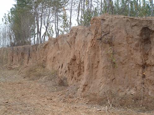 兴盛屯村西北遗址 兴盛屯村西北遗址