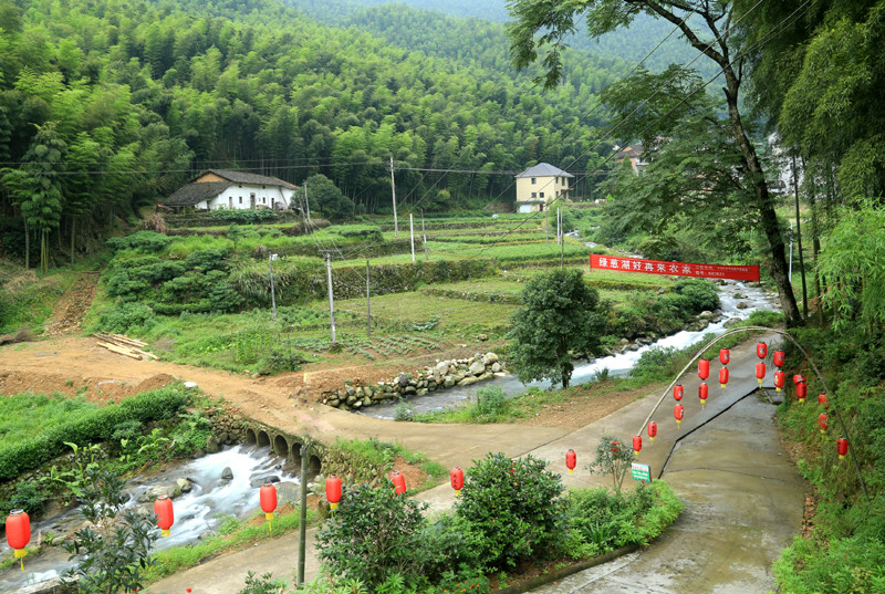 浙源里村 浙源里村