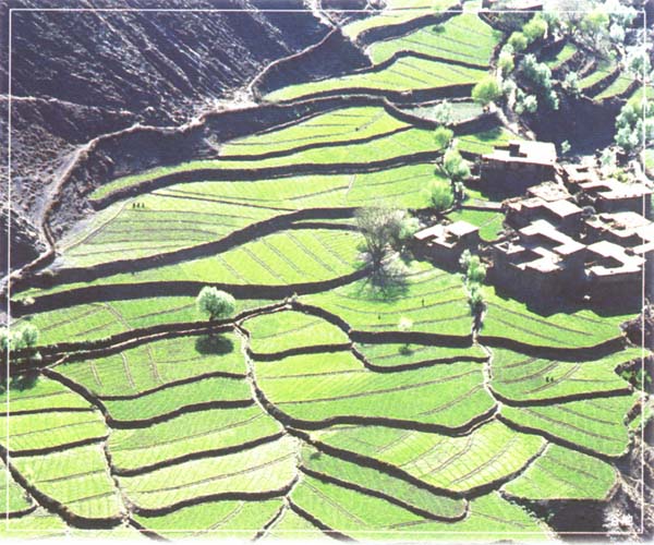察雅县 察雅县