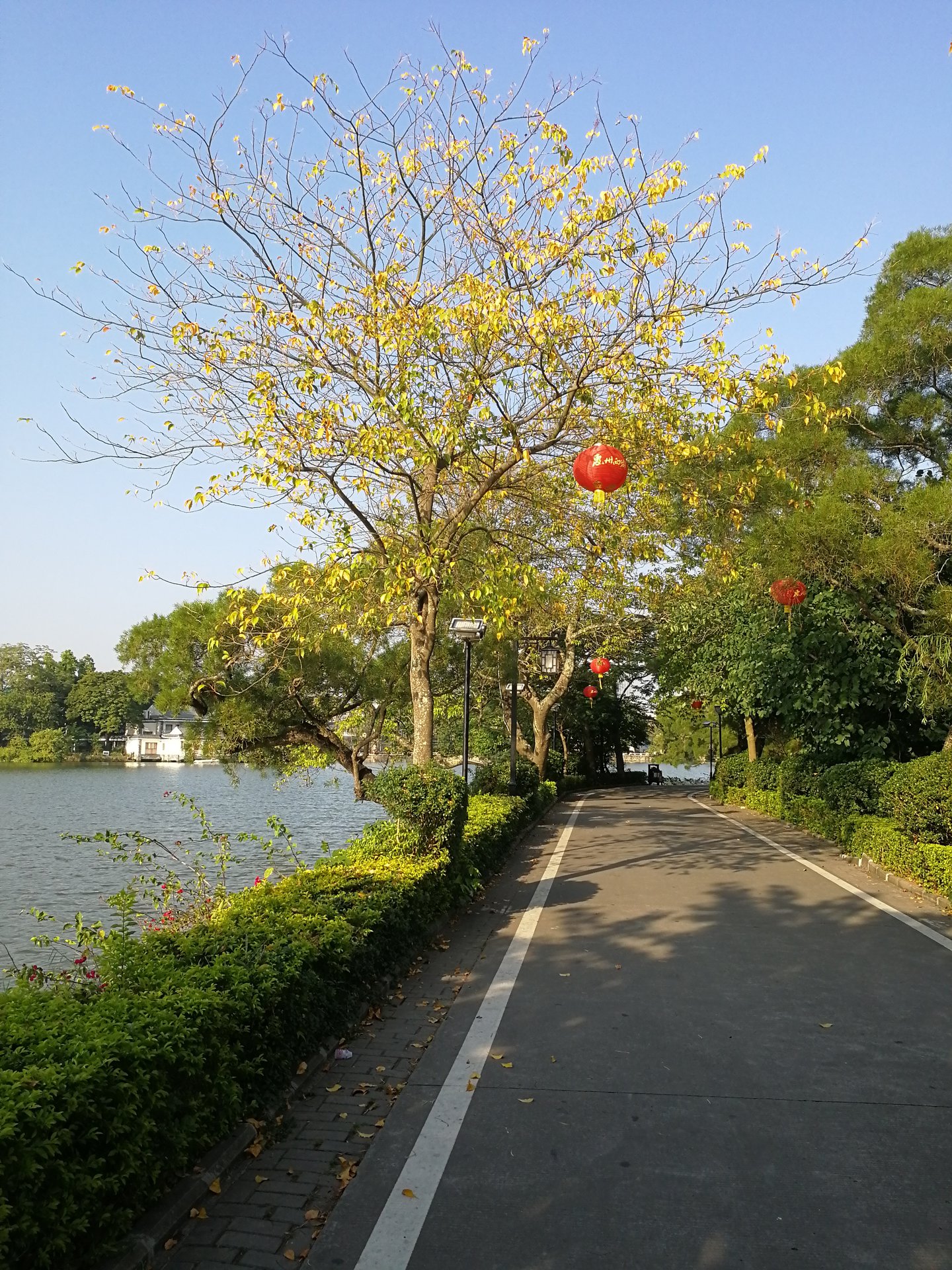 丰湖书院小道 丰湖书院小道