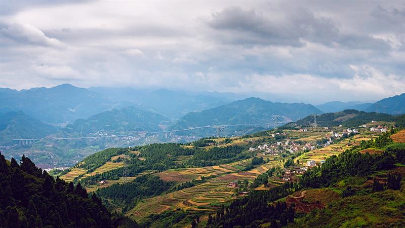 美丽梯田 美丽梯田