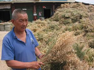 瓦岗乡 瓦岗乡