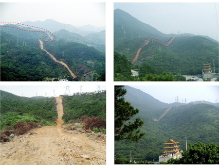 阳岱山省级森林公园 阳岱山省级森林公园