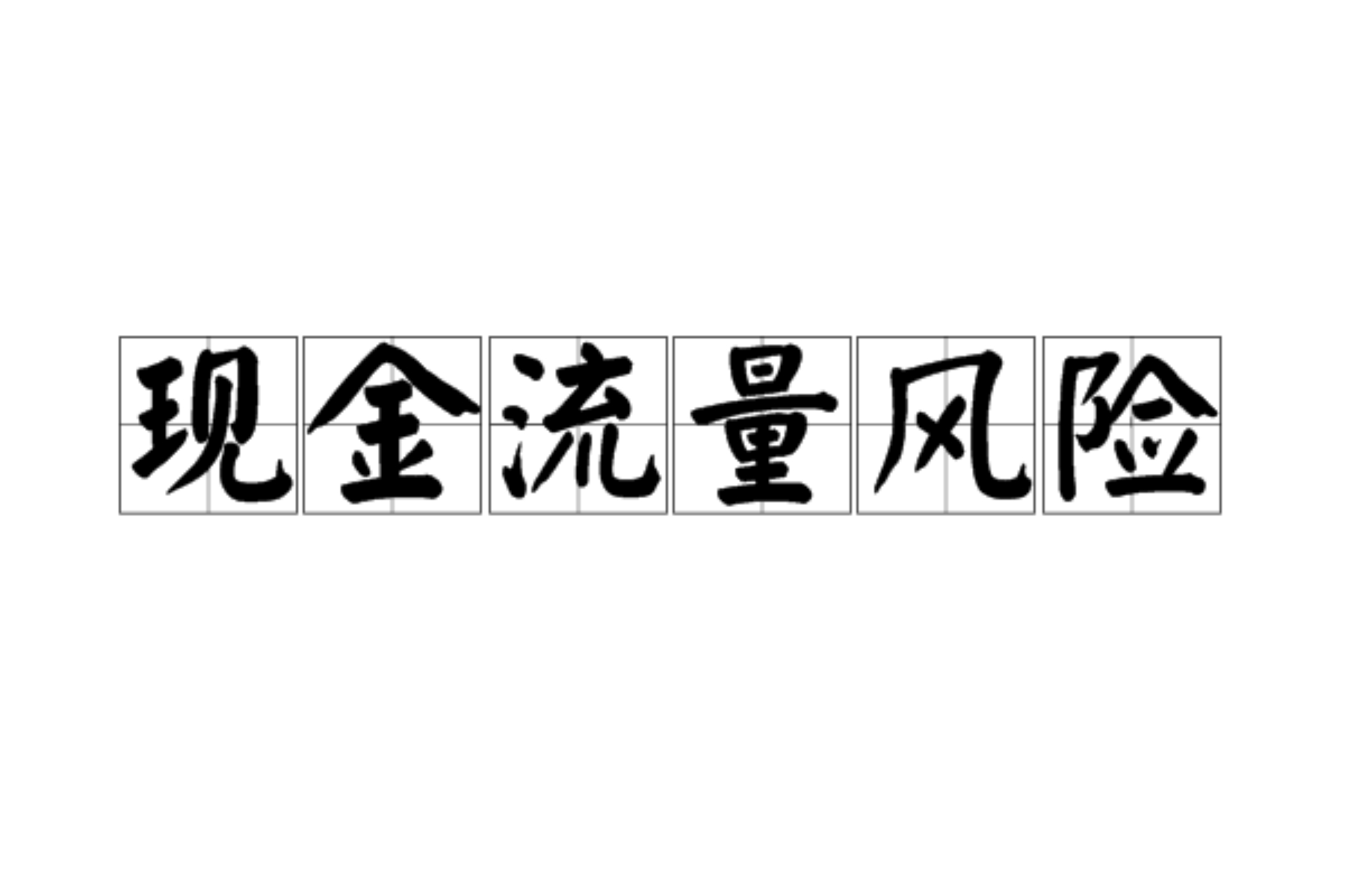 现金流量风险 现金流量风险