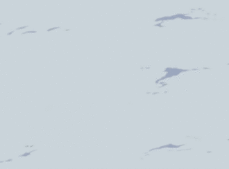 木遁·荆棘杀之术