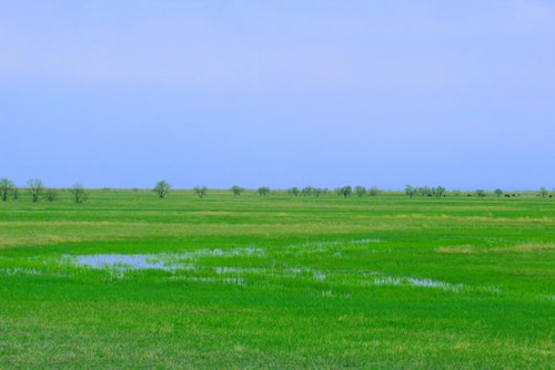 库鲁斯台草原湿地 库鲁斯台草原湿地