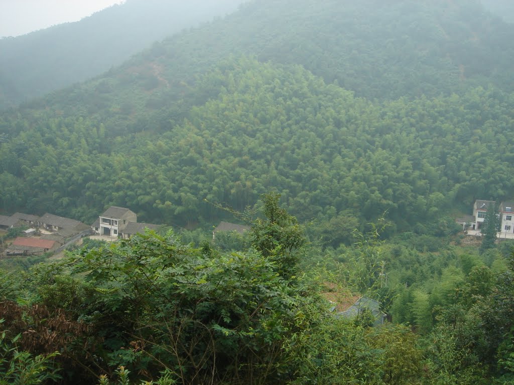 大霖山 大霖山