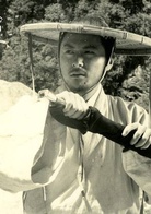 侠女(1971年胡金铨执导电影)