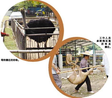 350多只动物被“贱卖” 350多只动物被“贱卖”