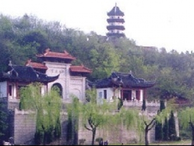 桃姑迷宫 桃姑迷宫