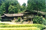 来凤县 来凤县