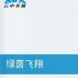 绿茵飞翔