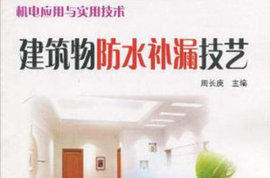 建筑物防水补漏技艺 建筑物防水补漏技艺