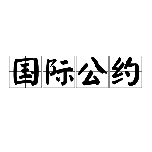 国际公约 国际公约