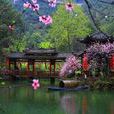 酉阳桃花源 酉阳桃花源