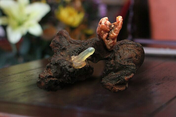 和硕特王府旧藏---阴阳石 和硕特王府旧藏---阴阳石