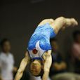 奥运会女子跳马比赛 奥运会女子跳马比赛