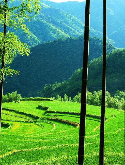 马头山镇 马头山镇