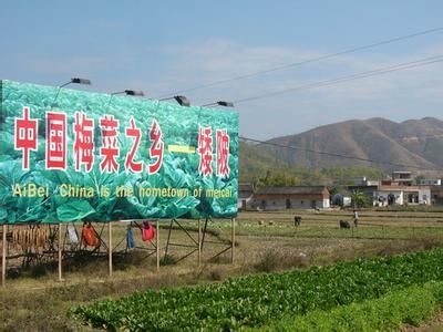 横沥镇 横沥镇