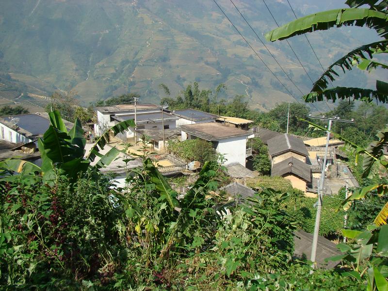 老金山村 老金山村