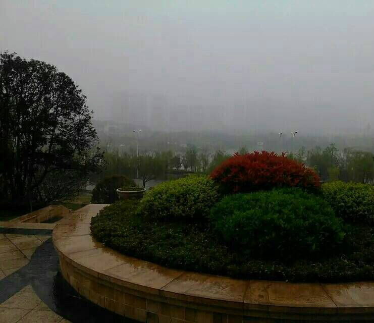 雨后(雨后·诗词新调) 雨后(雨后·诗词新调)