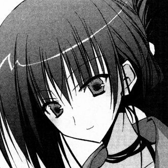 碧阳学园学生会议事录