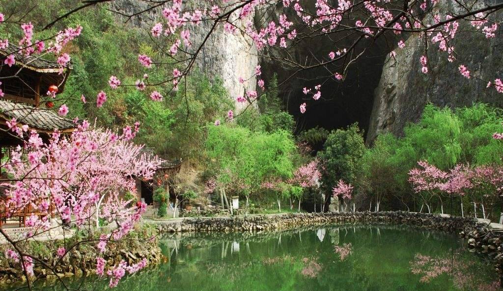 大酉洞桃花源 大酉洞桃花源