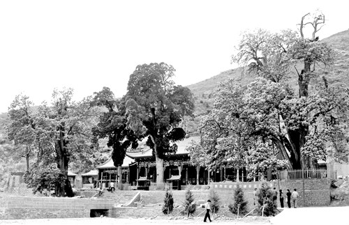 西神头村(山西原平市大林乡下辖村) 西神头村(山西原平市大林乡下辖村)