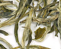 白毫茶 白毫茶