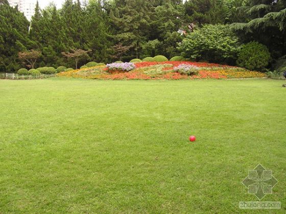 曹杨公园 曹杨公园