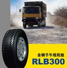 双钱载重轮胎有限公司 双钱载重轮胎有限公司