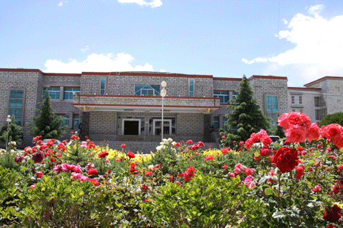 学校风景 学校风景