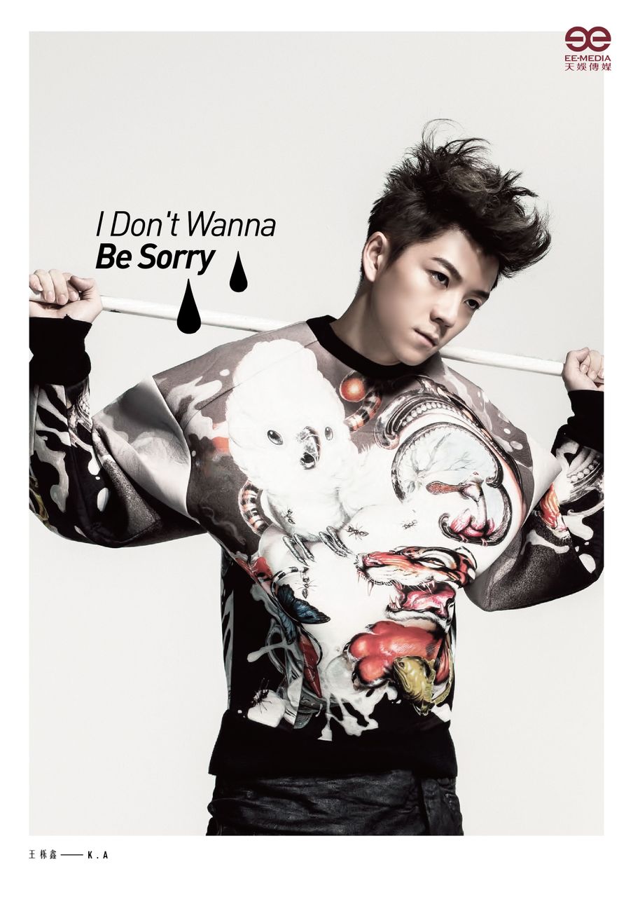 I Dont Wanna Be Sorry I Dont Wanna Be Sorry