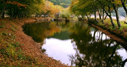 固城壮山树林的秋天 固城壮山树林的秋天
