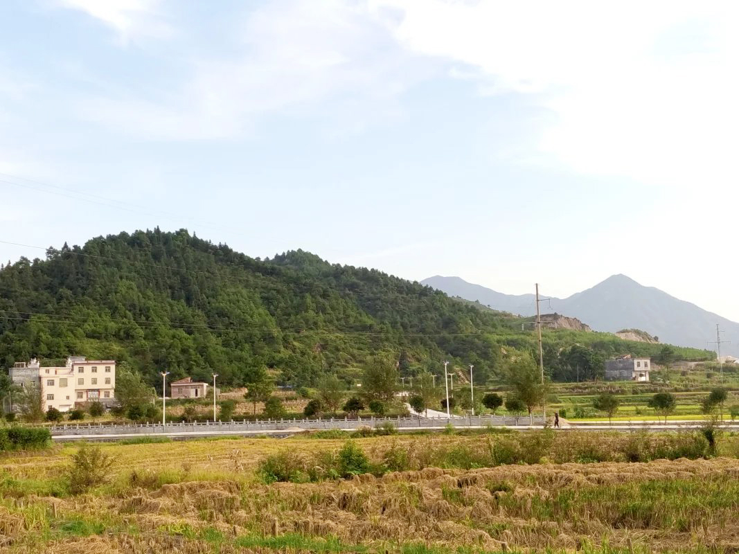 河道建设 河道建设