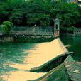 水坝 水坝