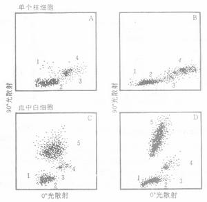 免疫萤光检查 免疫萤光检查