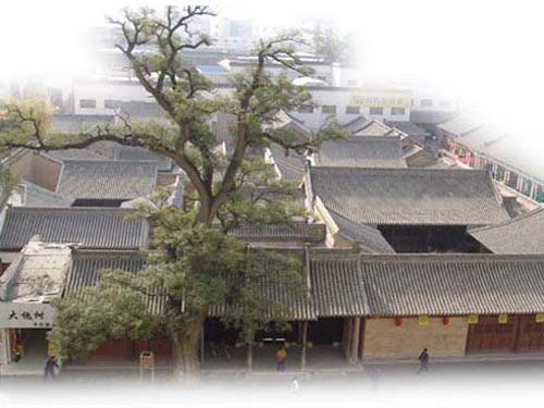 天水胡氏民居 天水胡氏民居