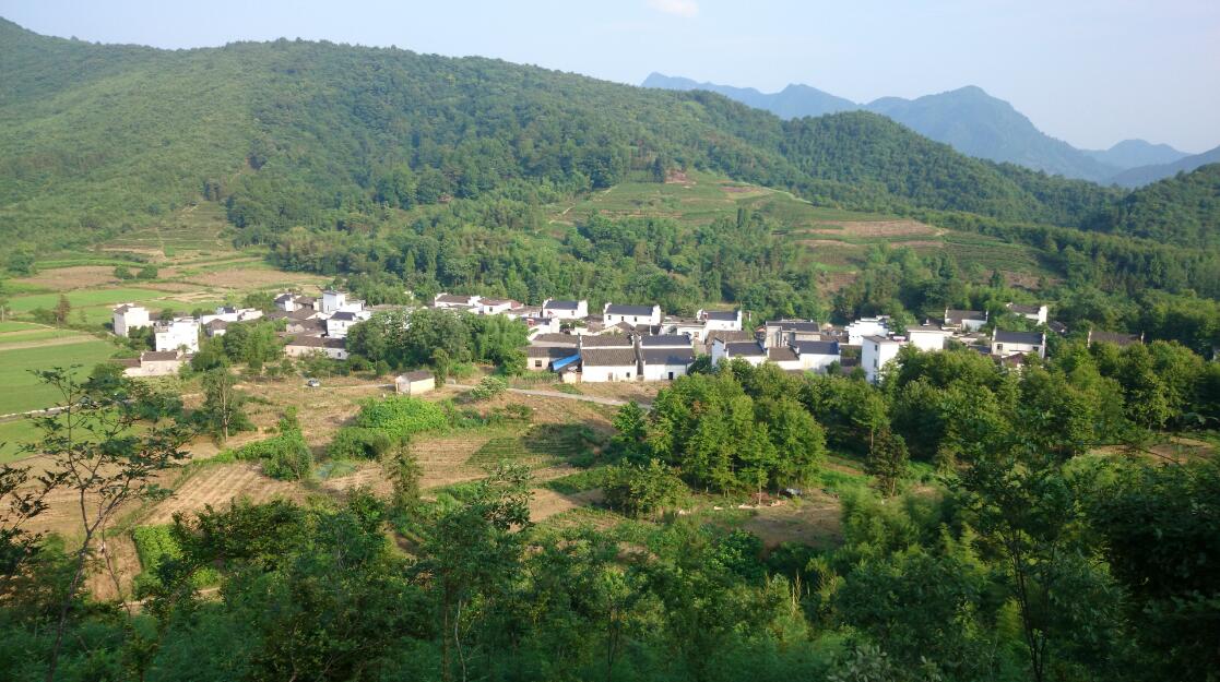 山下村庄府君 山下村庄府君